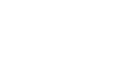 Gruppo Brescia Mobilità